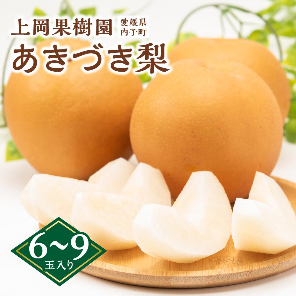 【ふるさと納税】上岡果樹園のあきづき梨（2）【6～9玉入り】 | フルーツ 果物 くだもの 食品 人気 おすすめ 送料無料