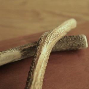 鹿の角（Ｍサイズ×2本）京都丹後産　ペット犬用おやつ　ドッグガム