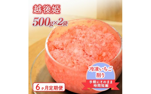 
                  削りいちこ゛越後姫500g×2袋 6ヶ月定期便 冷凍 イチゴ 苺 果物 フルーツ 新潟 苺の花ことば
                