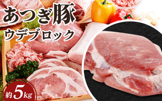 かながわの名産100選　あつぎ豚　ウデブロック ／ ブランド豚 豚肉セット 冷凍肉 食材セット 肉料理用 国産豚肉 おかず用食材 ストック食材 まとめ買い 家庭用 業務用 ボリュームたっぷり 真空パック 調理しやすい メイン料理向け ギフト対応 厚木市 No.871