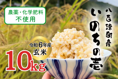 【令和6年産】【10月下旬発送開始】農薬・化学肥料不使用　オータニ農業の『いのちの壱』玄米10kg