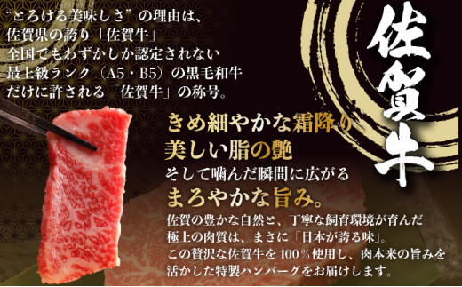 佐賀牛ハンバーグ 12個【25gf-0049】																																