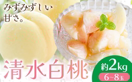 【2026年先行予約】清水白桃  約2kg もも モモ 岡山 国産 フルーツ 果物 桃茂實苑《2026年7月中旬-8月上旬頃出荷》岡山県 浅口市 フルーツ モモ 果物 青果 旬 白桃 国産 岡山県産【配送不可地域あり】