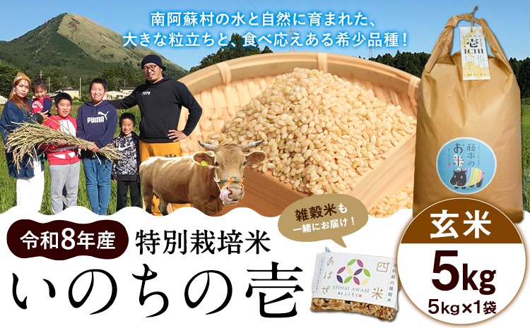 令和8年産 特別栽培米 いのちの壱 玄米 5kg 雑穀米付き 虹色のかば《30日以内に出荷予定(土日祝除く)》熊本県 南阿蘇村 熊本県産 お米 こめ コメ 米---sms_inci6_30d_r8_13500_g5kg---
