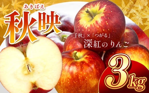
                  芳醇な香り 長野県産 深紅色 りんご 秋映 約3kg 秀品 〈2026年9月下旬～10月中旬発送〉| 果物 くだもの フルーツ りんご リンゴ 林檎 長野県 信州 南信州 飯田市
                