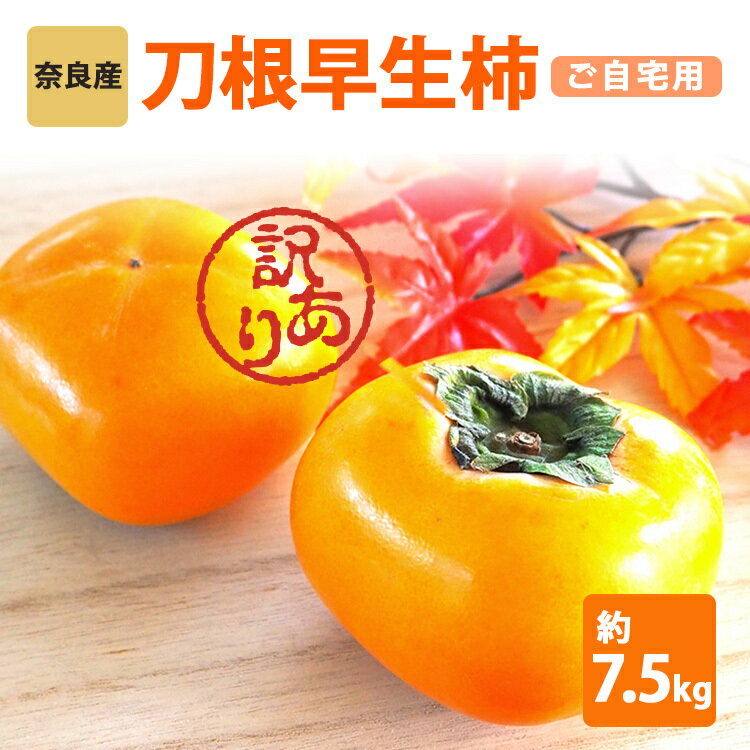 【ふるさと納税】 訳 あり たねなし 刀根 早生 柿 ご自宅用 約 7.5kg ［Sunファーム］ | フルーツ くだもの 果物 柿 かき カキ 刀根早生柿 奈良県 五條市 訳あり 日本一の柿のまち 秋の味覚 自宅用 家庭用 特産品 果物