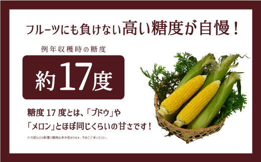 《先行予約！》採れたてスイートコーン 恵味スター 2L・14本セット とうもろこし　熊本県　産山村　阿蘇《2025年7月中旬-8月中旬出荷》 ---ubuyama_ibn_6_14p---