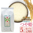 【ふるさと納税】【令和6年産 先行予約】【定期便6ヶ月】ばんどう農園の特別栽培米 つや姫5kg×6ヶ月　K-630