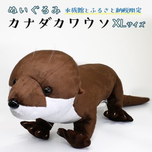 ぬいぐるみ カワウソ XL アクアワールド 大洗 オリジナル グッズ 特大 120cm 茨城 水族館 カナダカワウソ かわうそ 限定