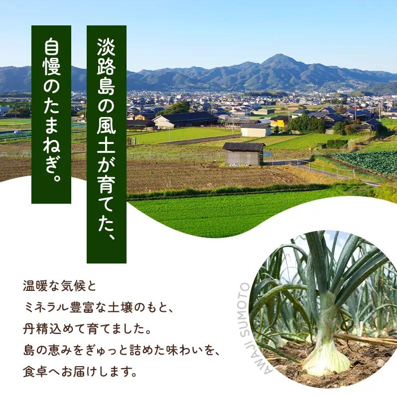 新玉ねぎ 淡路島産 4kg 島の里 甘い 新玉ねぎ