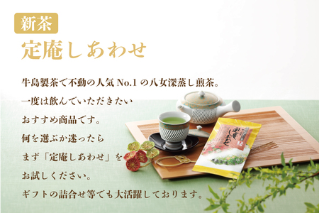 【新茶】【ギフト対応可能】2025年新茶をお届け!! 極上八女深蒸し煎茶セット 028-011