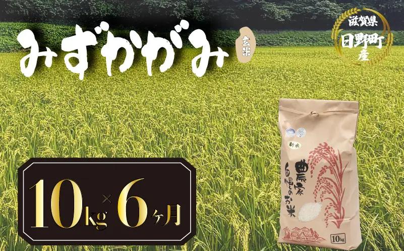 【先行予約】令和8年産 新米 みずかがみ 10kg 定期便 6ヶ月 玄米 米 