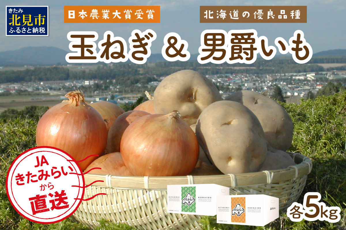 【予約：2024年10月中旬から順次発送】日本農業大賞受賞の「玉ねぎ5kg」と北海道の優良品種「男爵いも5kg」の使いやすいセット☆JAきたみらいから直送☆ ( 野菜 玉葱 たまねぎ じゃがいも 男爵