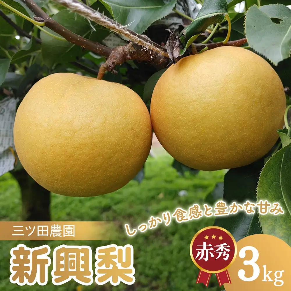 梨 三ツ田農園 新興梨 (赤秀)3kg 10月頃お届け