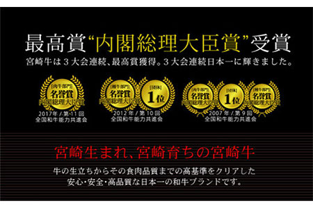 ＜宮崎牛＞しっとり赤身焼肉 500g※90日以内出荷【B217】