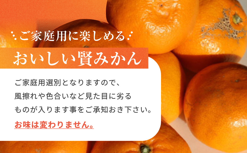 有田のブランド「賢みかん」約10kg サイズ混合 ご家庭用［2026年11月中旬頃より順次発送］