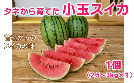 
            タネから育てた小玉スイカ（2.5～3kg）1個【栽培期間中農薬化学肥料不使用】
          