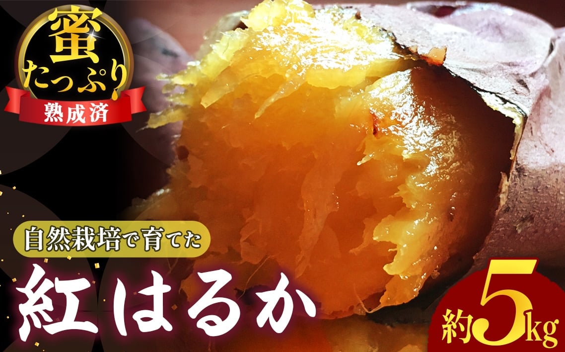 
            自然栽培で育てた 蜜たっぷり 紅はるか ☆熟成済☆ 約5kg ／ さつまいも 紅はるか 自然栽培 無農薬 熟成 甘い 蜜たっぷり ホクホク トロトロ 5kg 野菜 旬 食材 お取り寄せ 下松 ご当地 ホクホク芋 焼き芋 冷蔵 食卓 山口県 No.221
          