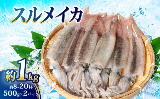 冷凍スルメイカ 約1kg （8～20杯程度）/ イカ 刺身 いかの塩辛 いかめし いかげそ イカ焼き フライ いかソーメン 新鮮 海産物 魚介 使いやすい 便利 いか 烏賊 産地直送 真空パック 三重 南伊勢町 伊勢 志摩 外湾漁業協同組合 9000円 九千円 １万円以下