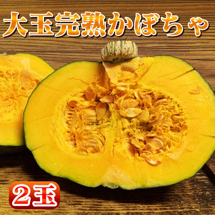 【ふるさと納税】種子島産の大玉かぼちゃ　3kg以上×2個【 先行予約 】