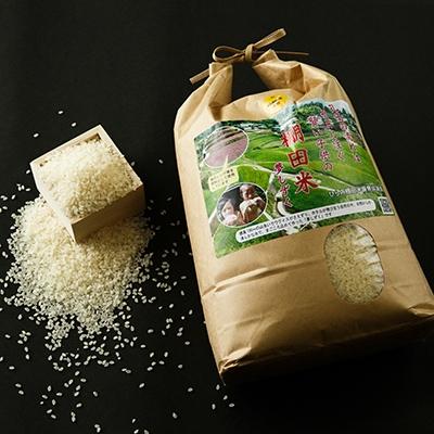 ふるさと納税 多久市 令和7年産　ひらの棚田米夢しずく(精米白米13.5kg+玄米15kg)