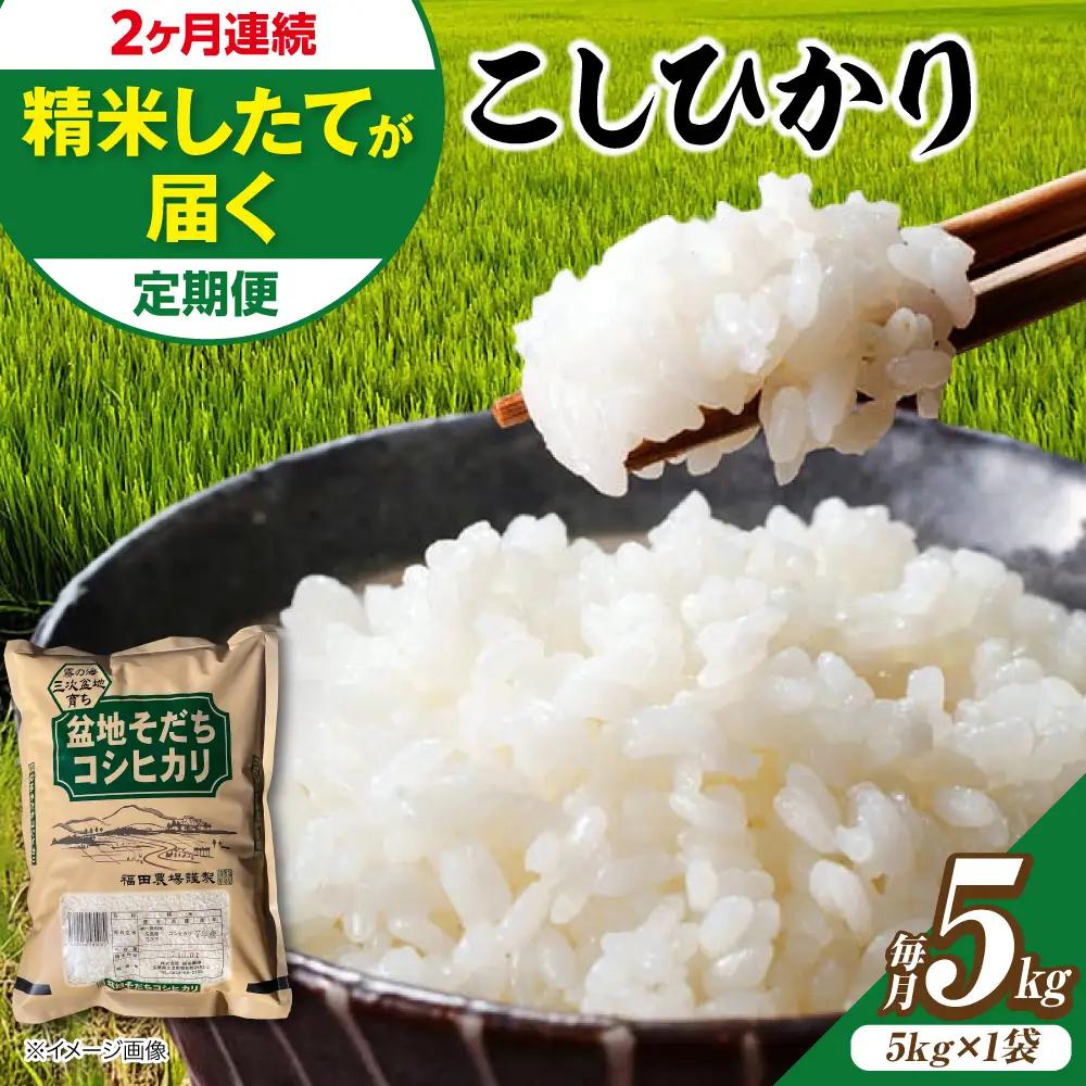 【全2回定期便】新米 令和8年産コシヒカリ 5kg [APBM028]