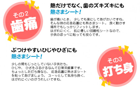 熱さまシート 大人用 16枚×5箱セット【愛媛小林製薬】 発熱 頭痛 歯痛 打ち身 暑さ対策に