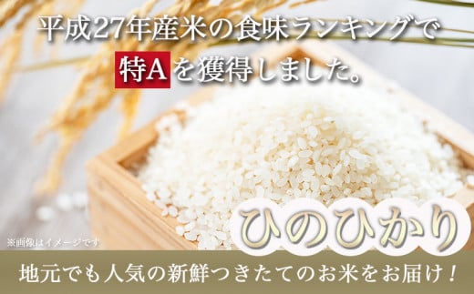 都城産ひのひかり「西岳米」10kg(5kg×2袋)_22-0402