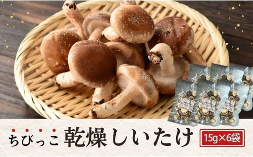 大分産椎茸（しいたけ） 津久見で育てたちびっこ椎茸 乾燥しいたけ 15g×6袋 | しいたけ 乾し椎茸 シイタケ 干し椎茸 しいたけステーキ 干椎茸 菌床しいたけ きのこ ギフト 国産 産地直送 津久見市