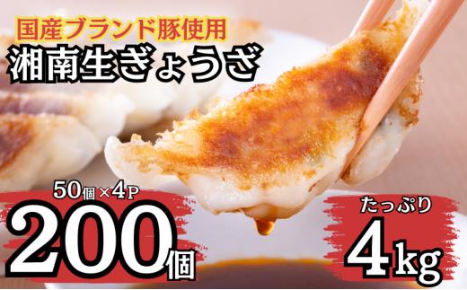 餃子 湘南ぎょうざ 20ｇ×200個入 大容量 国産ブランド豚 焼き餃子 冷凍 神奈川 藤沢市 餃子 ぎょうざ 冷凍餃子  餃子 ぎょうざ 冷凍餃子 ぎょうざ 冷凍 餃子 餃子 ぎょうざ 冷凍餃子 餃子 ぎょうざ 冷凍餃子 餃子 ぎょうざ  冷凍餃子 餃子 ぎょうざ 冷凍餃子 餃子 ぎょうざ 冷凍餃子 餃子 ぎょうざ 冷凍餃子 餃子 ぎょうざ 冷凍餃子 餃子 ぎょうざ 冷凍餃子 餃子 餃子  餃子