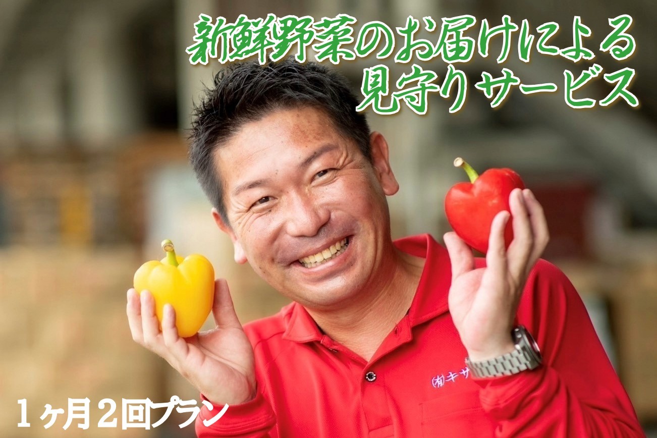
新鮮野菜のお届けによる見守りサービス（１ヶ月２回お届け） 一人暮らし　笑顔と共に　家族愛　見守り　新鮮野菜　　
