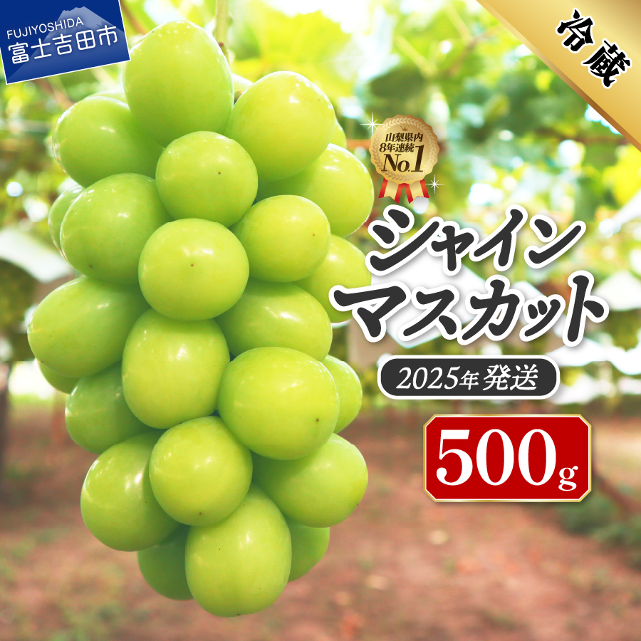 【2025年発送】ジューシーで甘さ抜群　厳選シャインマスカット500g