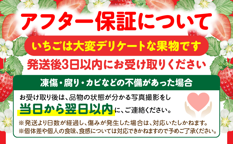 【先行受付】【年内発送】三木町地域いちご部会「さぬきひめ」約500gDXパック  スイーツ いちご ストロベリー イチゴ さぬき姫 さぬきひめ 苺 甘い 大粒 冷蔵 フルーツ 旬 果物 香川県 デザート 青果物 贈答 プレゼント 贈り物 おすすめ _mk006-085