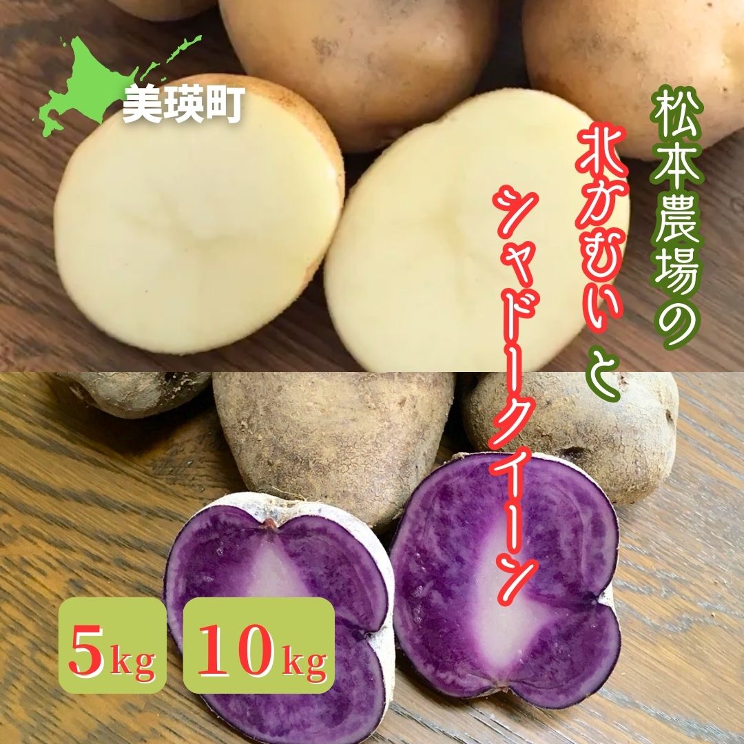 【ふるさと納税】【令和7年産予約受付！】松本農場の北かむい＆シャドークイーン5kg・10kg | 北かむい きたかむい キタカムイ シャドークイーン 秋野菜 人気 おすすめ ランキング いも 芋 イモ じゃがいも ジャガイモ 野菜