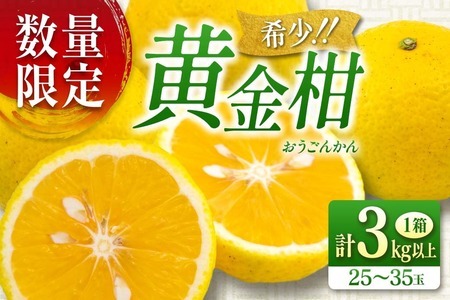 先行予約 新感覚シトラス 黄金柑 おうごんかん 計3kg以上 令和8年発送 期間限定 数量限定 希少 果物 くだもの フルーツ 国産 食品 柑橘 みかん 蜜柑 ゴールデンオレンジ デザート おやつ おすすめ おすそ分け 手土産 ギフト 贈り物 宮崎県 日南市 送料無料_AAV8-25