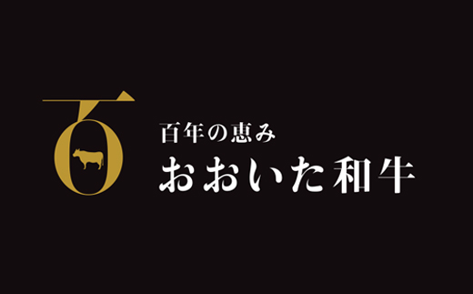 ＜生産者支援品＞おおいた和牛切り落とし900g ※真空パック 【匠牧場】＜102-001_6＞