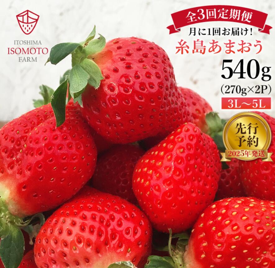 【全3回定期便】糸島 あまおう 270g×2パック 【先行予約*2025年1月~3月にて順次発送】 (A品B品含む３L-５L) 糸島市 / 磯本農園 / TANNAL [ATB009]