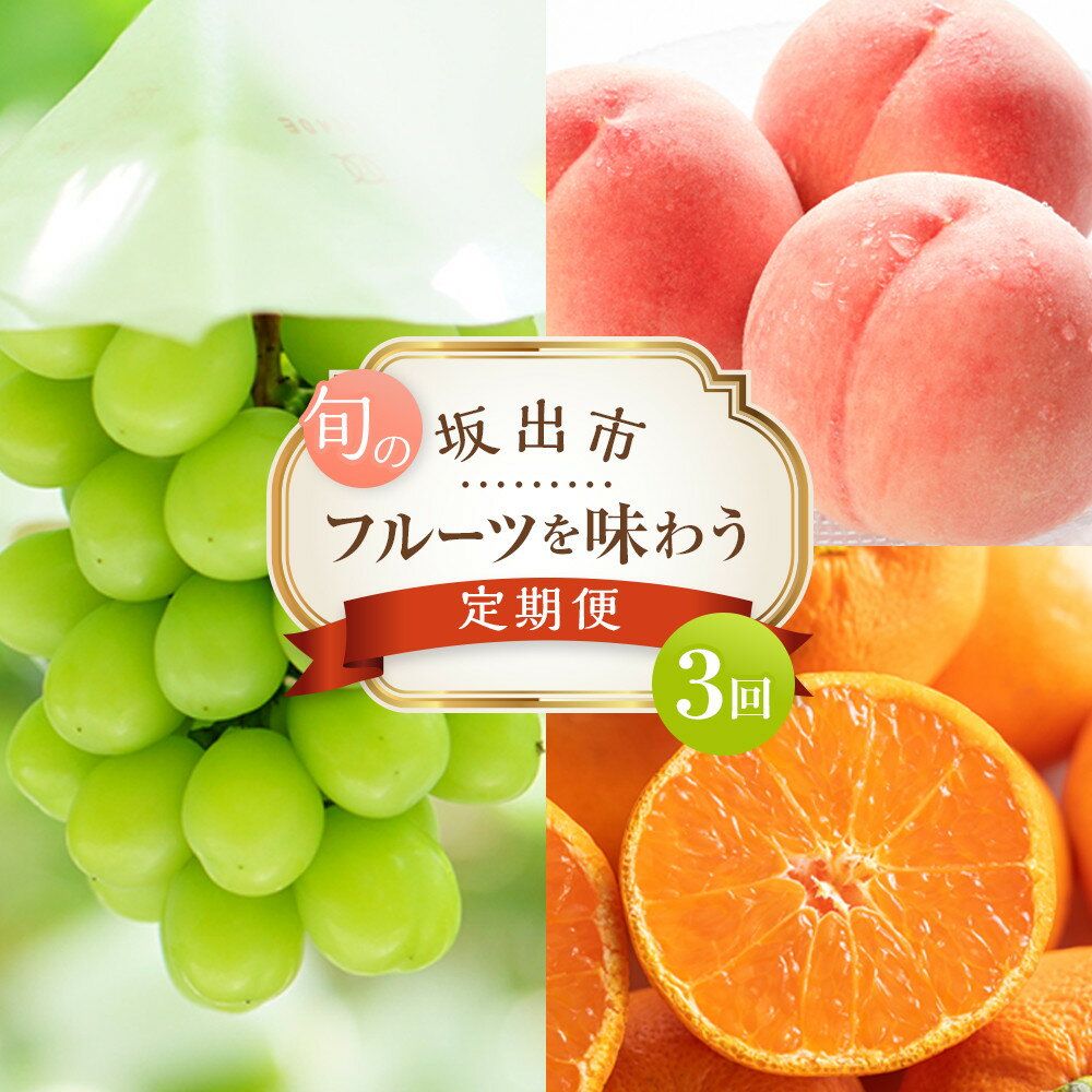【ふるさと納税】坂出市 旬のフルーツを味わう3回 定期便