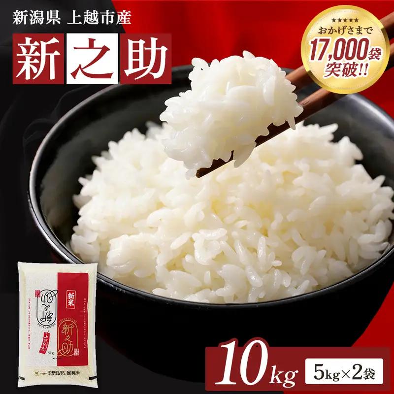 【12月中旬配送】令和8年産 上越市産 新潟 新之助 10kg しんのすけ お米 精米 米 ご飯 大黒屋商店