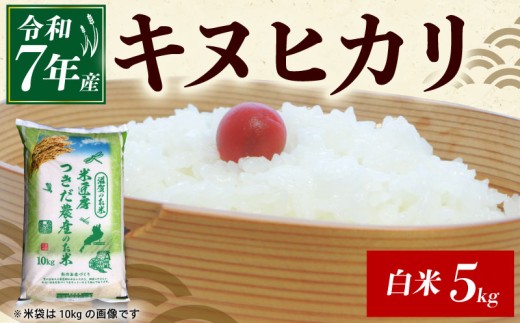 令和7年産 キヌヒカリ 白米 5kg 米 コメ お米 5キロ 米5kg ご飯 ごはん きぬひかり おにぎり お弁当 滋賀 彦根