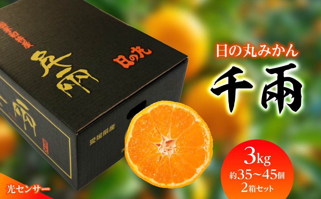 【先行受付】日の丸みかん「千兩」3kg　約35〜45個/2箱セット/S・2Sサイズ/光センサー使用【D79-9】【1452042】 YWTC009