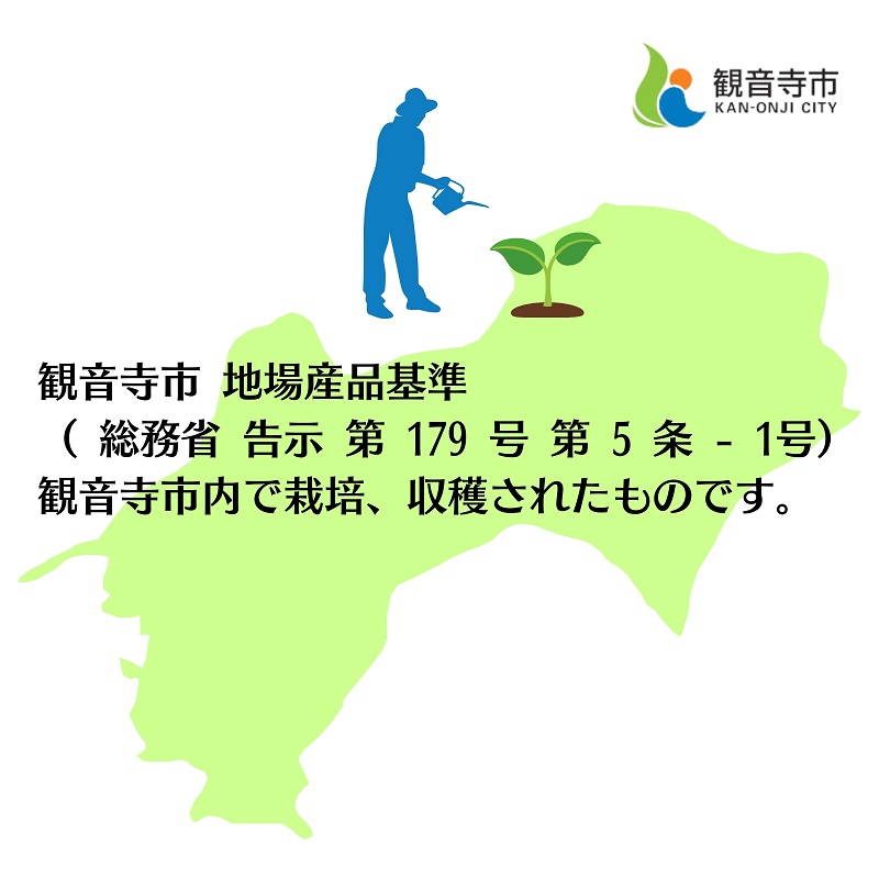 さぬきのめざめ（アスパラガス）春芽 旬野菜 約500g（約100g×5束） 野菜セット 