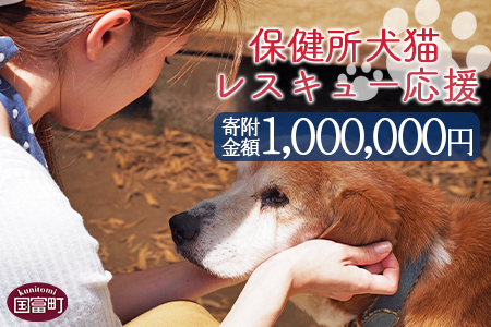＜保健所犬猫レスキュー【返礼品なしのご寄附】＞寄付金額1,000,000円※お礼状をお送りいたします。【 犬 猫 動物 ペット 寄附 保護 いのちのはうす保護家 】