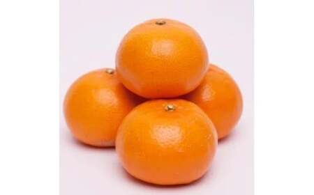 厳選 せとか 5kg+250g（痛み補償分） 光センサー / 高級 甘い 和歌山 柑橘 ※2月中旬～3月下旬頃発送 ※北海道・沖縄・離島への配送不可 【ikd014-p-5B】
