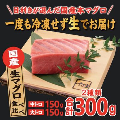 ふるさと納税 越前町 国産生本マグロ 大トロと中トロ 2種セット 合計300g |  | 01