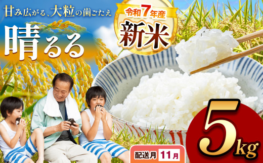 令和7年度産 新米 晴るる 白米 5kg 先行予約 ＜ 2025年11月～より順次発送予定 ＞ ｜ 精米 新米 白米 米 お米 コメ 単一米 晴るる はるる  山口 美祢 秋吉台 5kg