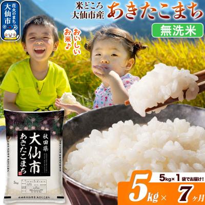 ふるさと納税 大仙市 米《7ヶ月》あきたこまち【無洗米】 あきたこまち5kg|22_ssn-030507