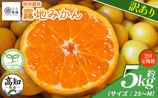 
                  【2回定期便】ふじ農園の露地みかん 訳あり品 5kg(2S～M)  国産 小玉 蜜柑 ミカン 柑橘 果物 フルーツ 訳アリ ご家庭用 自宅用 ふじ農園 高知県 香南市 Wfn-0021
                