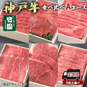 【ふるさと納税】 定期便 神戸牛 食べ比べAコース（6回お届け）[ 肉 牛肉 すき焼き しゃぶしゃぶ 焼肉 ステーキ ]　【定期便・ 但馬牛 神戸ビーフ 黒毛和牛 赤身 霜降り バランス 】　お届け：ご入金の翌月以降の奇数月よりお届け