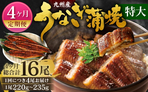 【4ヶ月定期便】九州産 うなぎ 蒲焼 特大4尾 (1尾あたり220～235g) 合計16尾 たれ 山椒 鰻 ウナギ 蒲焼き 国産 冷凍 鹿児島、宮崎、熊本等産うなぎ原料使用